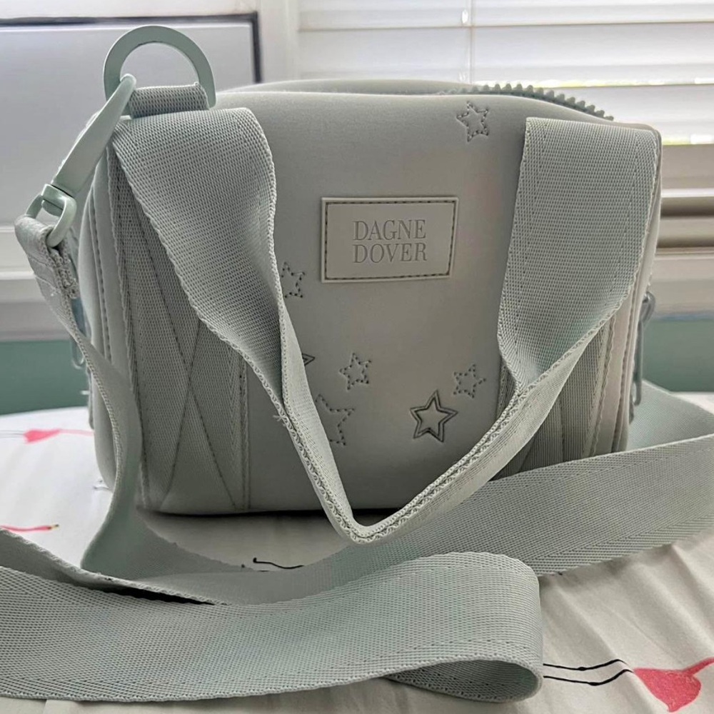 Dagne Dover Mint Women's Bag